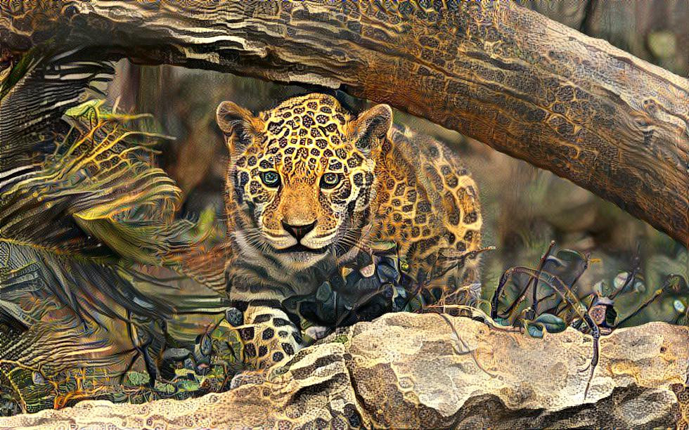 Jaguar