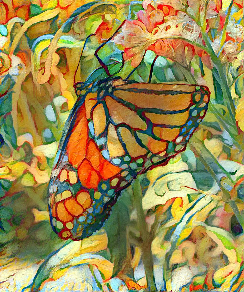 Monarch Butterfly