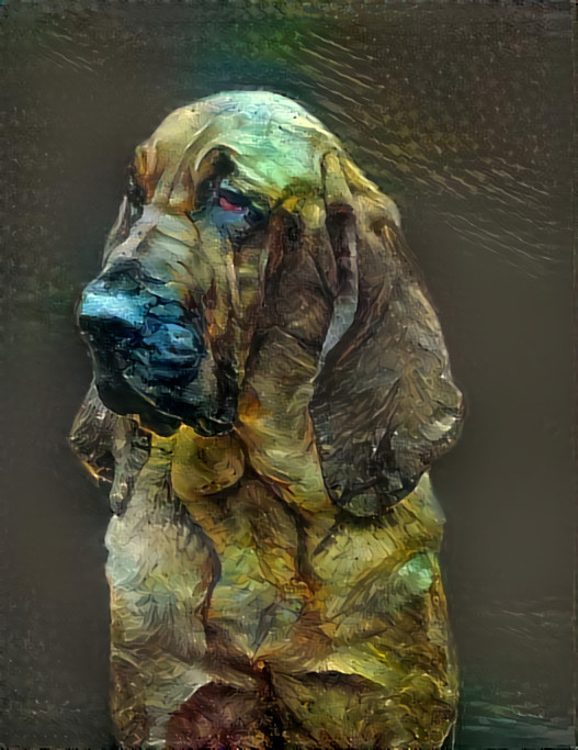 My bloodhound girl Carmen