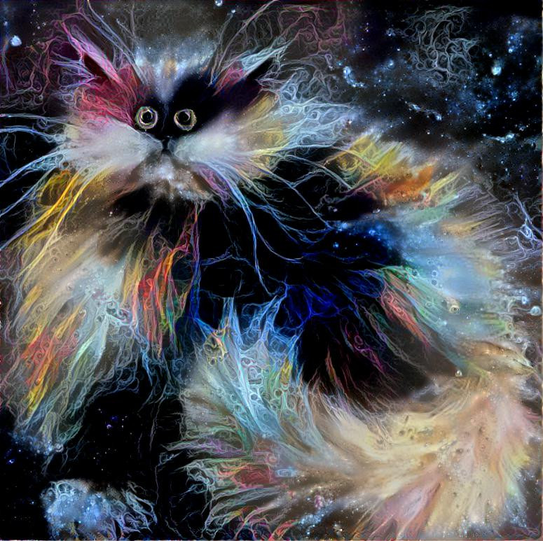 Space Cat