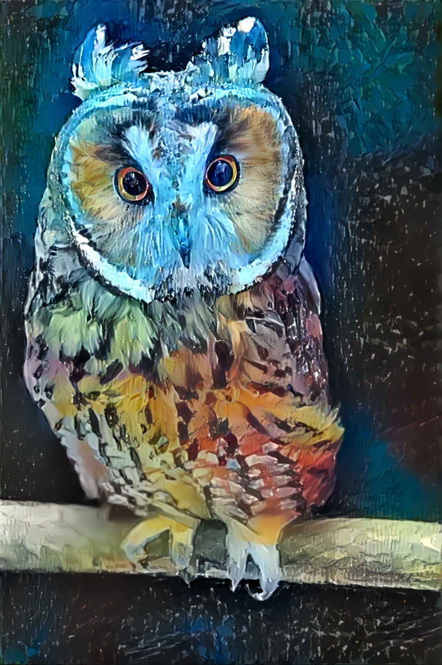 Owl