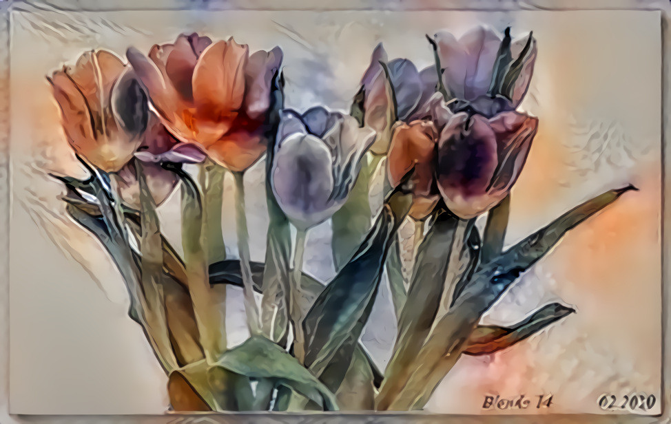 Tulips