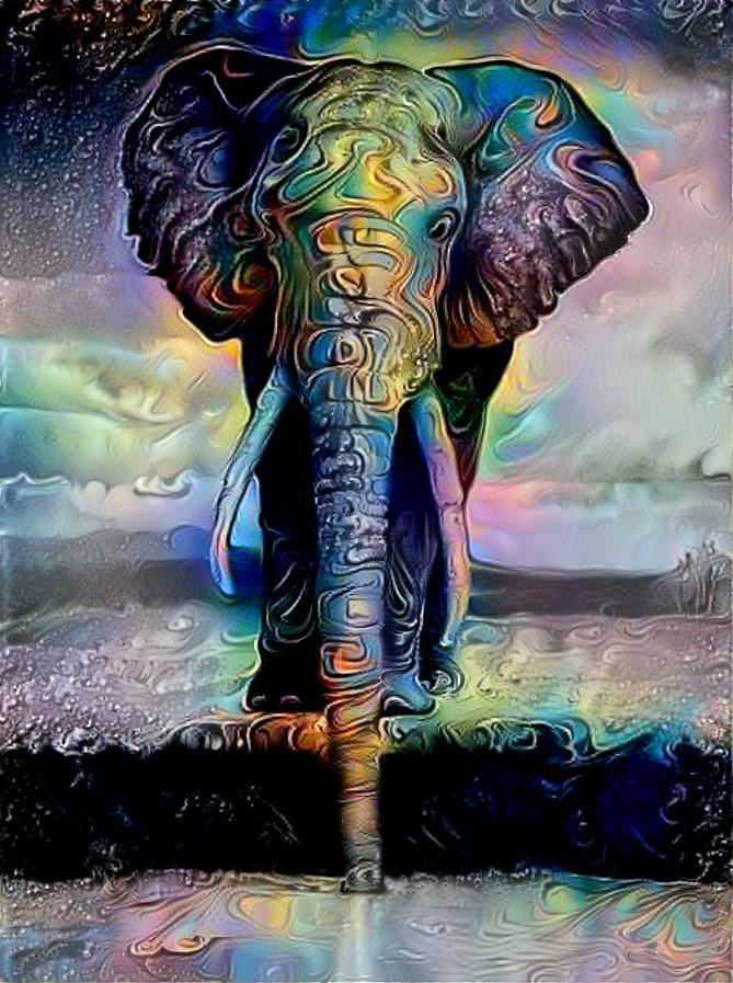  Dreary elephant