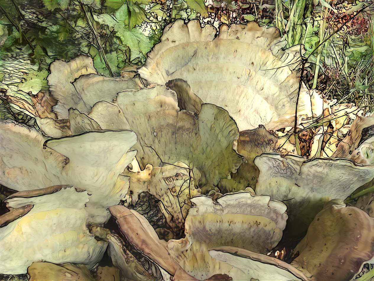 mushroom landscape