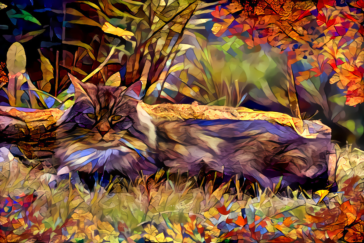 Norwegian Forest Cat