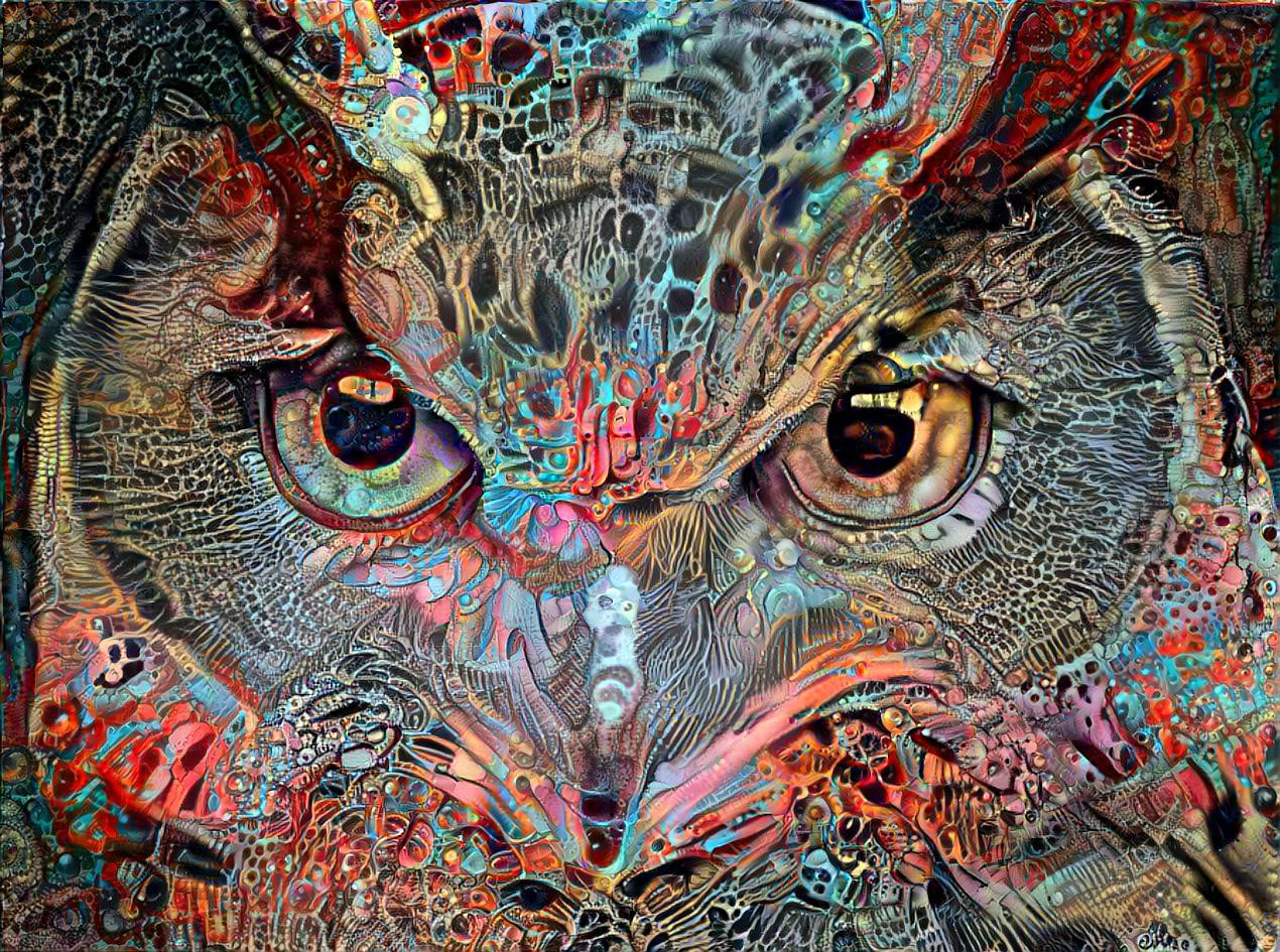 trippyOwl