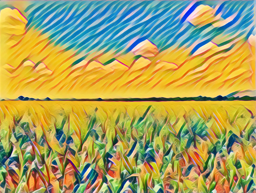 Corn field in Thailand 