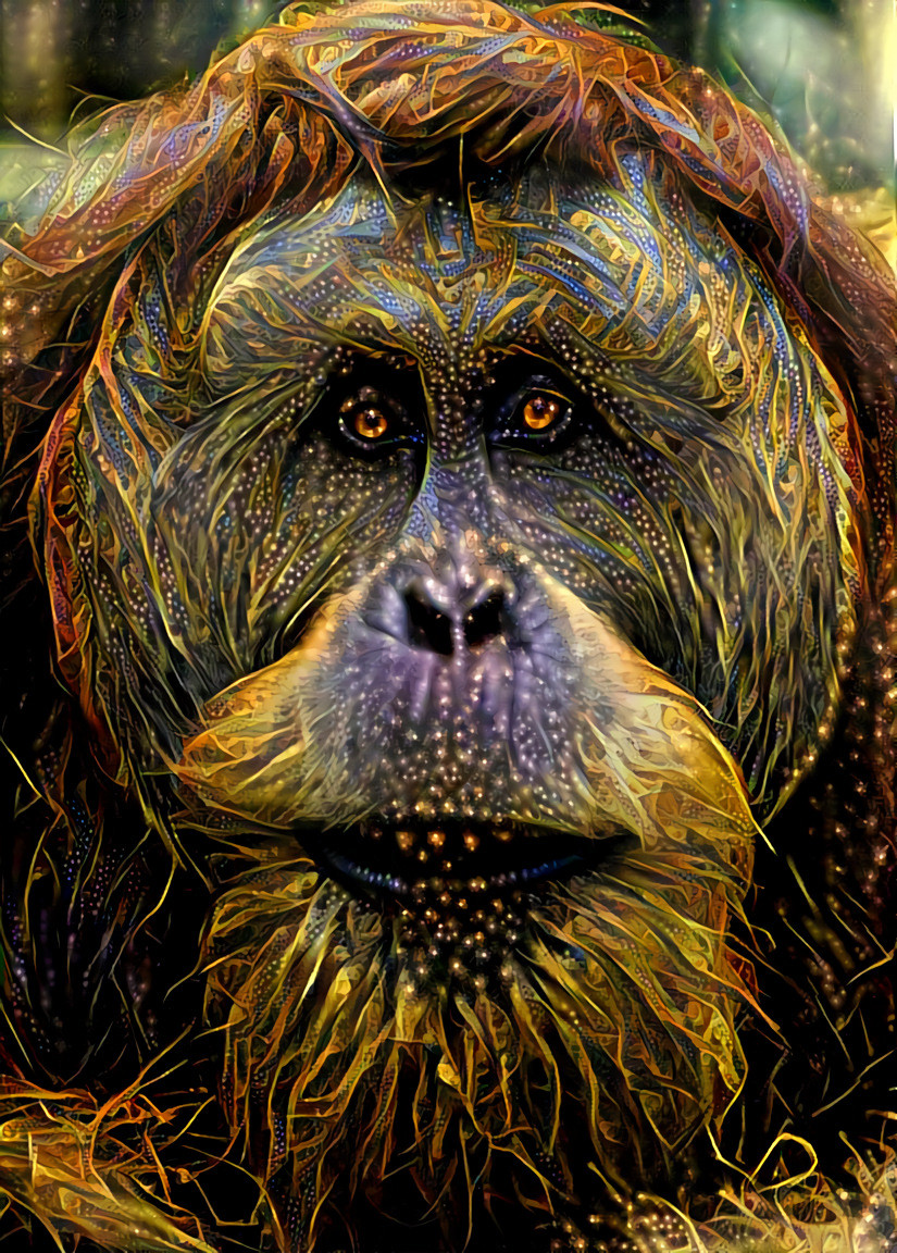 Redreaming Extinction Series: Orangutan