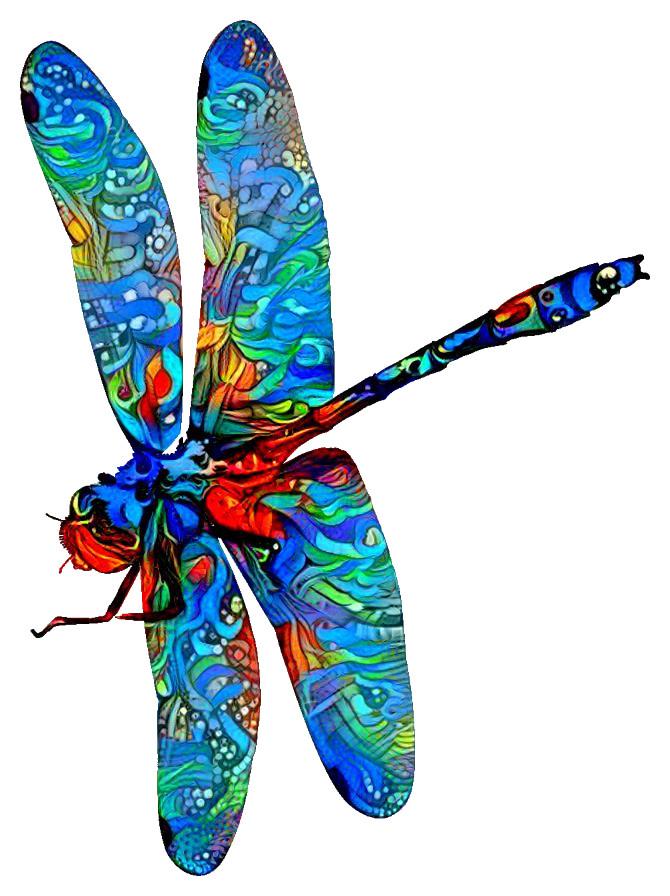 dragonfly