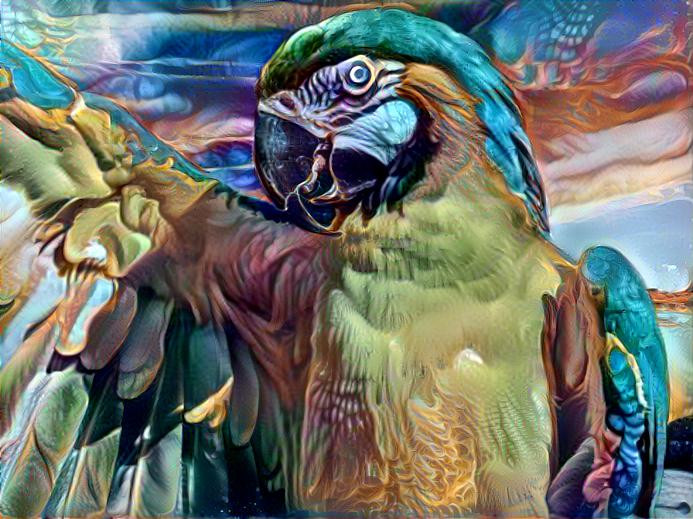 Colorful Macaw