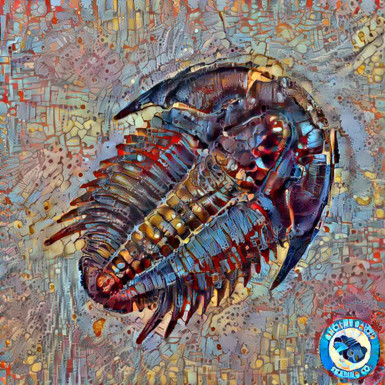 Trilobite