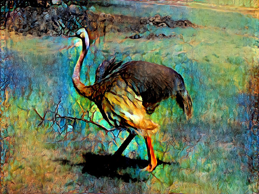 Ostritch