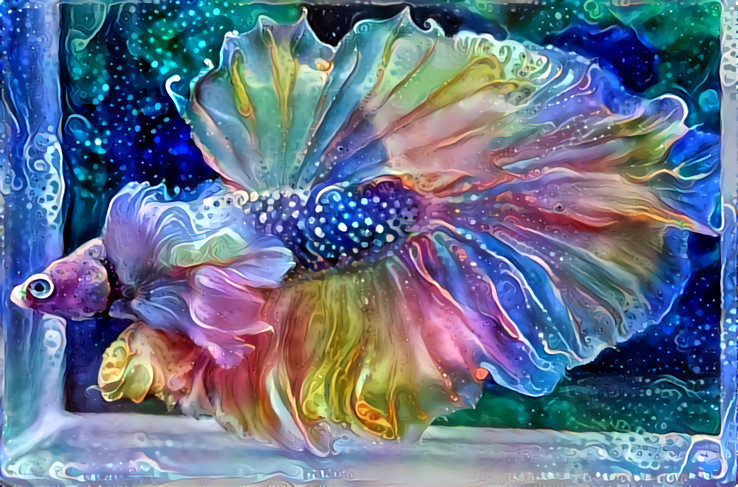 Ethereal Betta