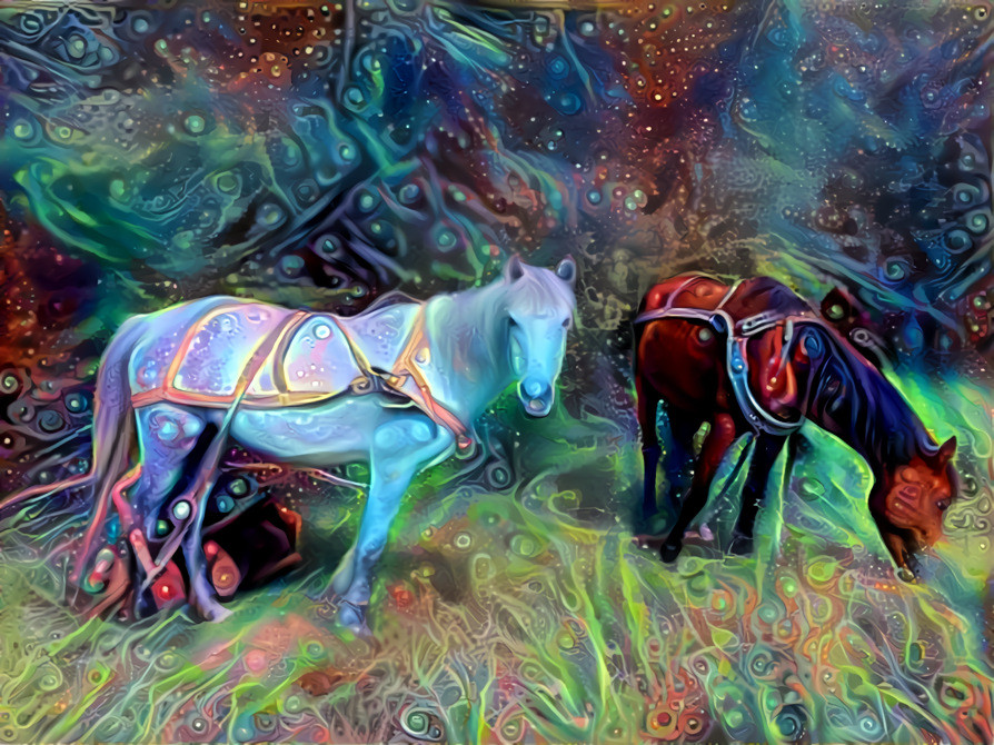 Horses