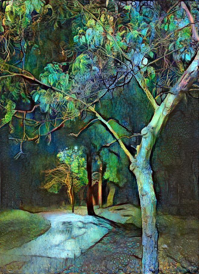 Tree in the night