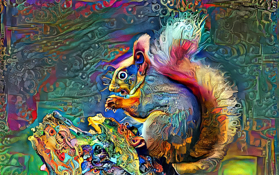 Squirrel