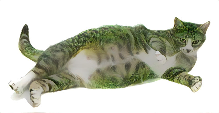 Lizard-cat!