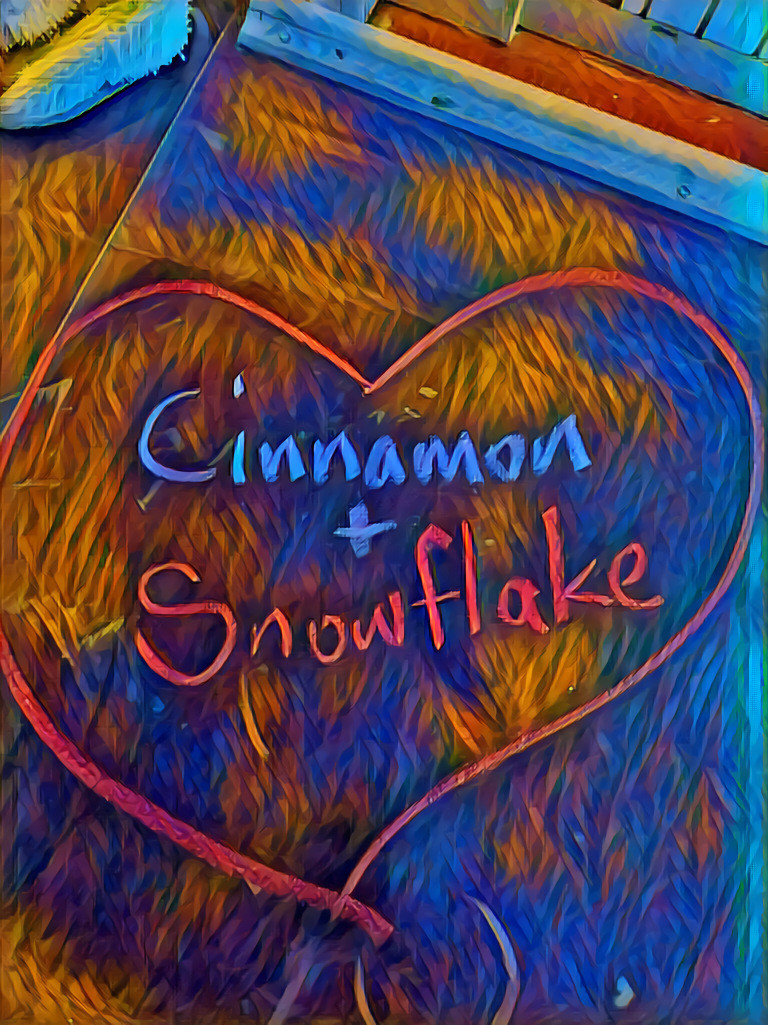 Cinnamon & Snowflake