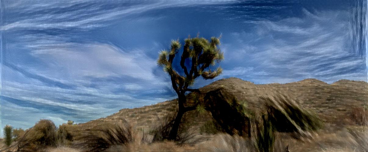 Lone Joshua Tree