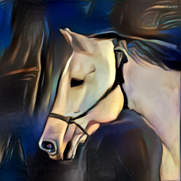 Equine Beauty 1