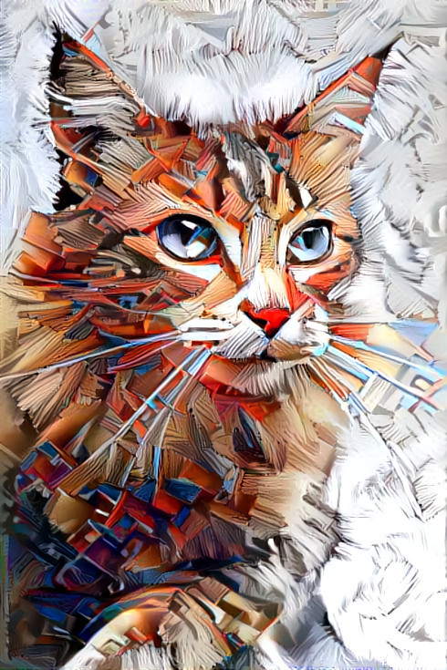 The Patterned Cat