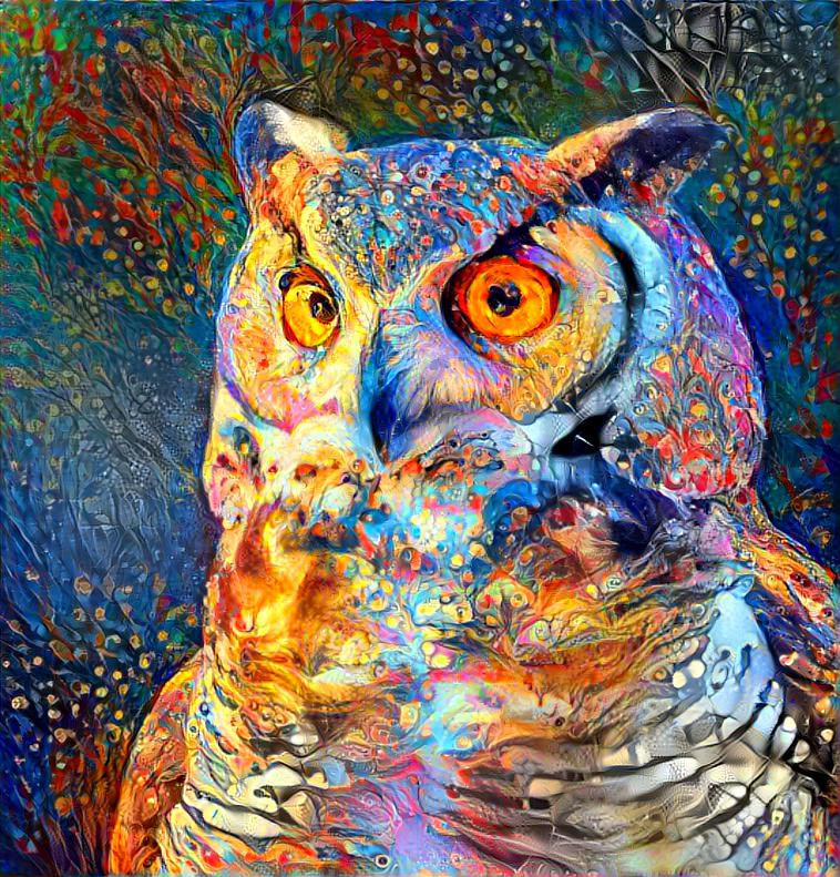 owl1