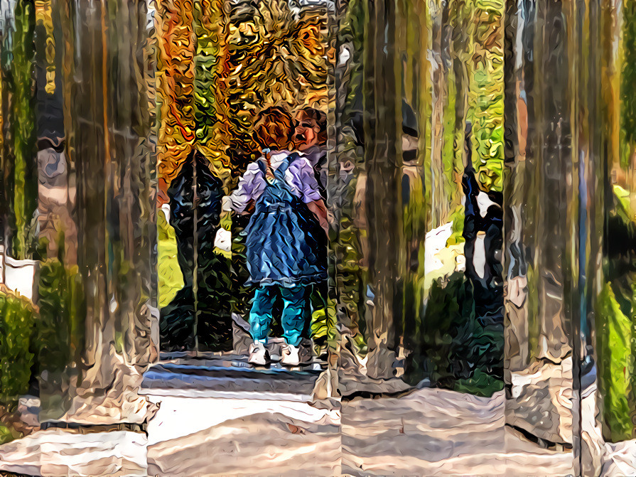 The Mirror in the Park