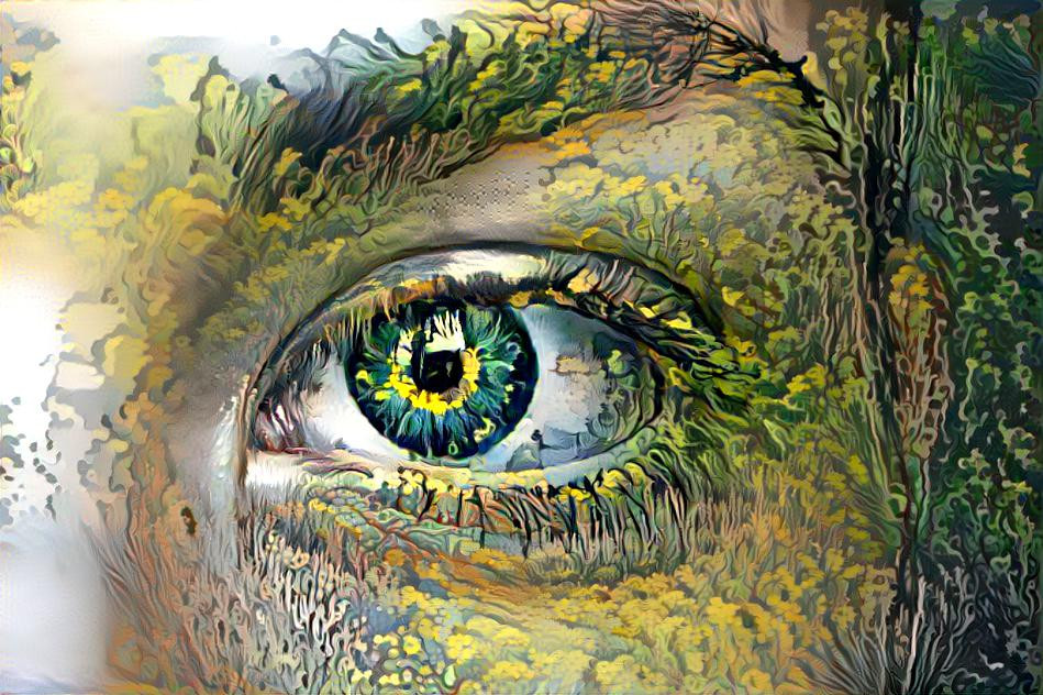 The eye of the forest