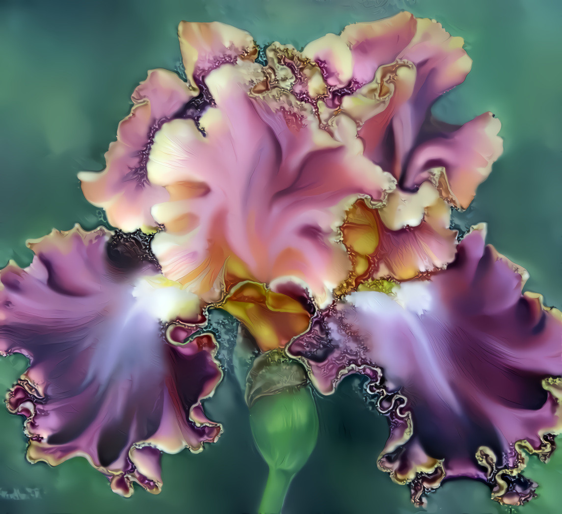 The Iris of Illumination. image artwork courtesy of Rachel at Ternfeather studios.