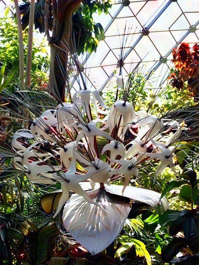 “White” Glass Art - Missouri Botanical Gardens 