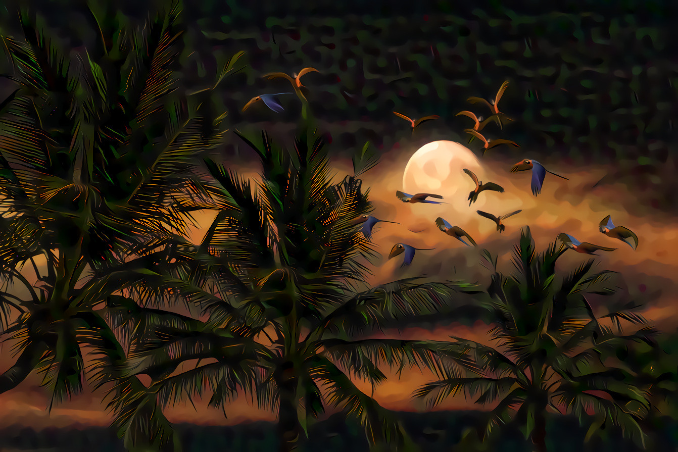 Palms, Parrots and Moon