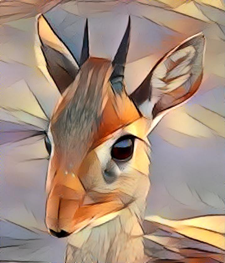 Poly dik dik