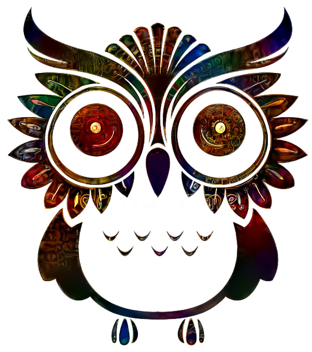 Colorful Owl