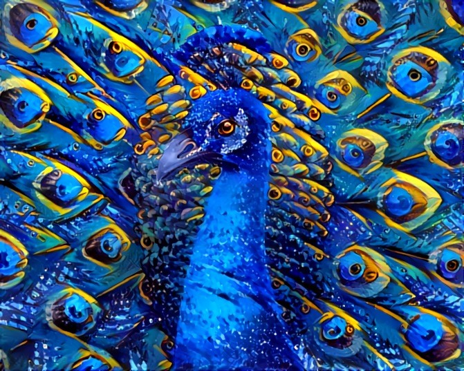 Peacock