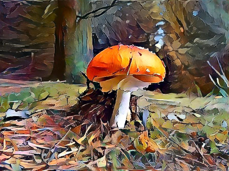 Toadstool