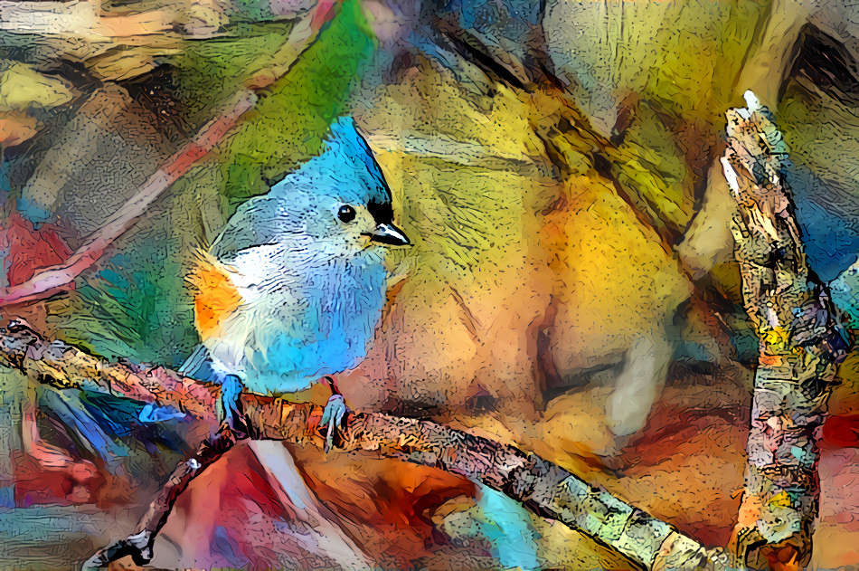 Titmouse