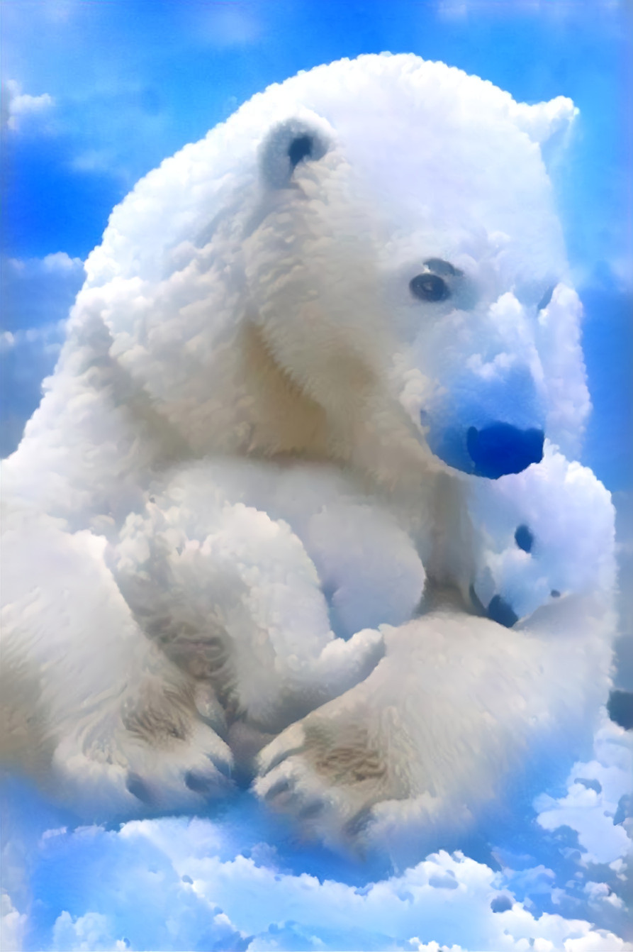 Polar Bears