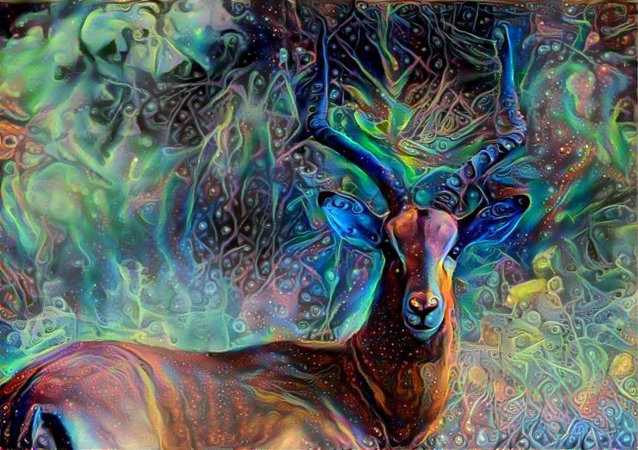 Impala Ram