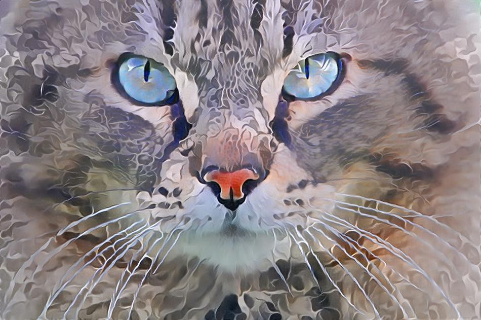 Deep Dream: Fluffy Cat (Ver.4)