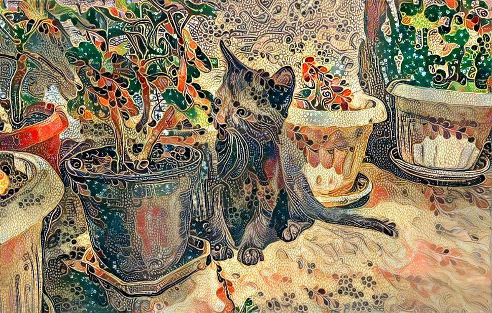 Cat & Flowers