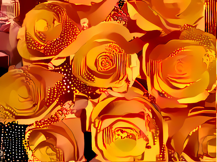 Brilliant Orange Roses #2