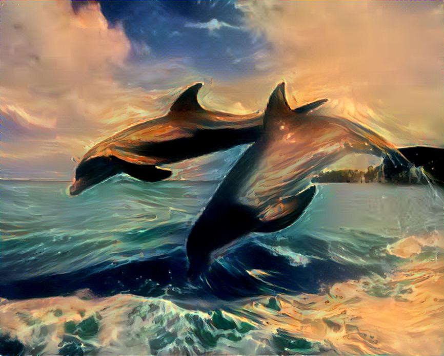 dolphin