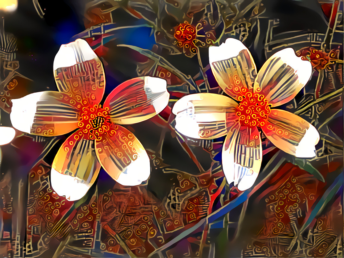 - - - - - 'Designer Daisies' - - - - - Digital art by Unreal - from own photo.  