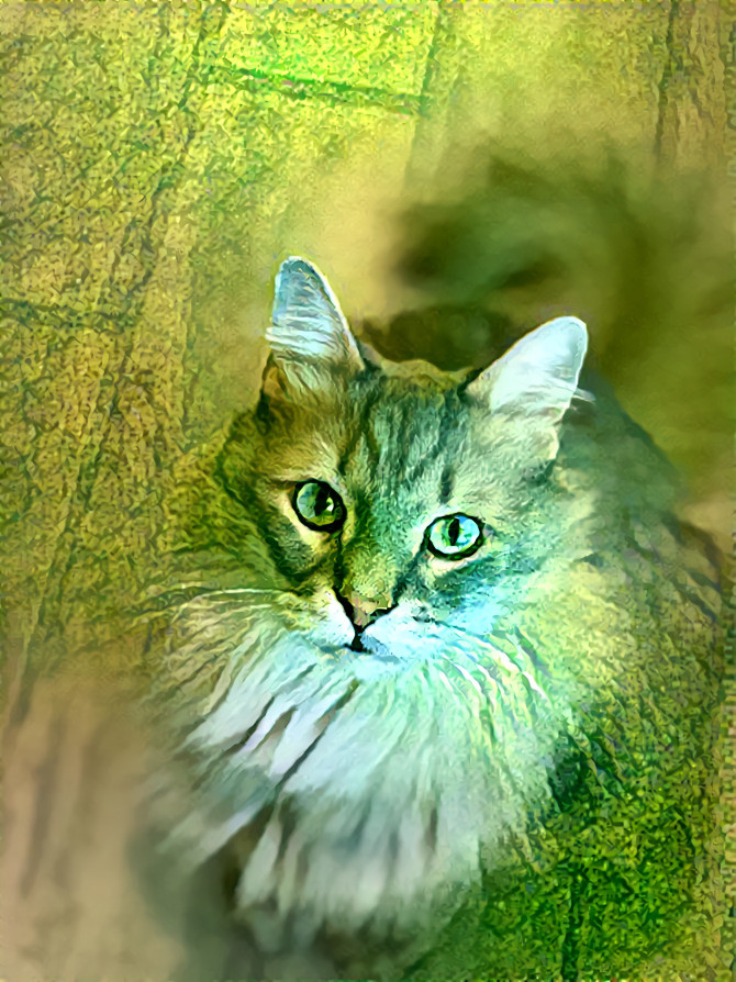 Green Glow Cat