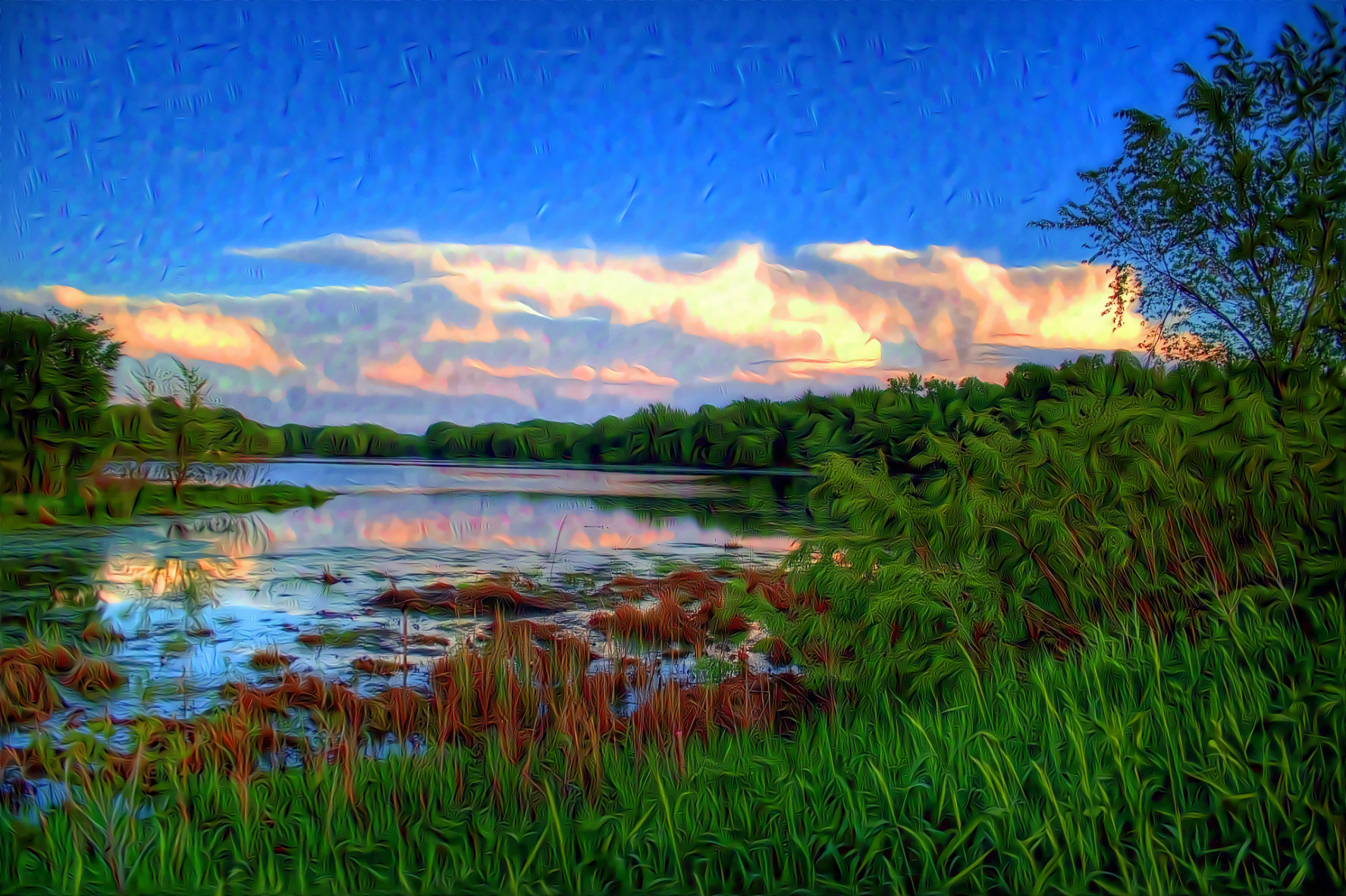 Marsh and Sky