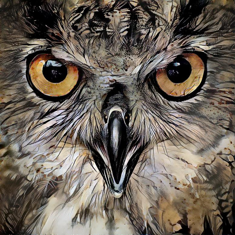 Deep Dream: Eagle Owl Eyes (Ver.3)