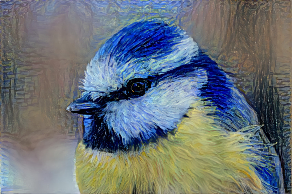 Blue tit