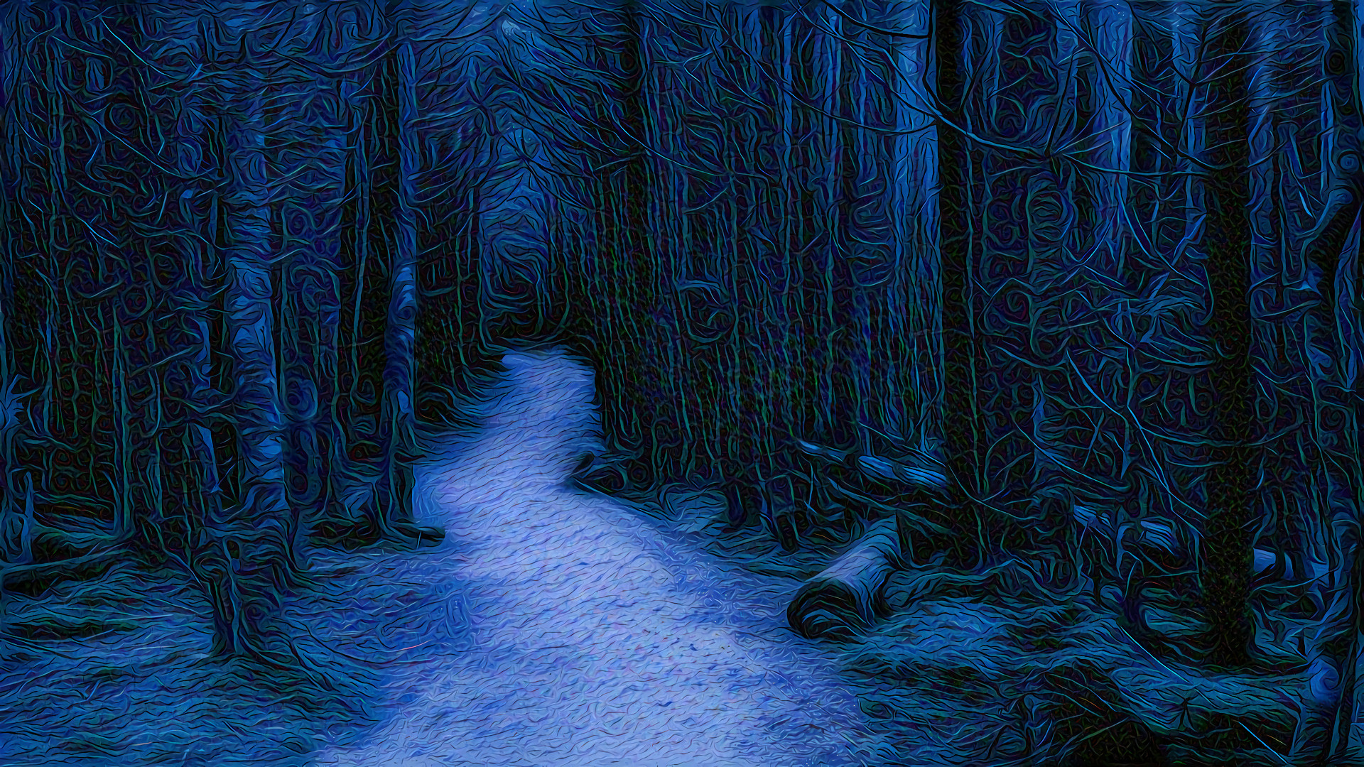 Forest Trail,  Dark Night