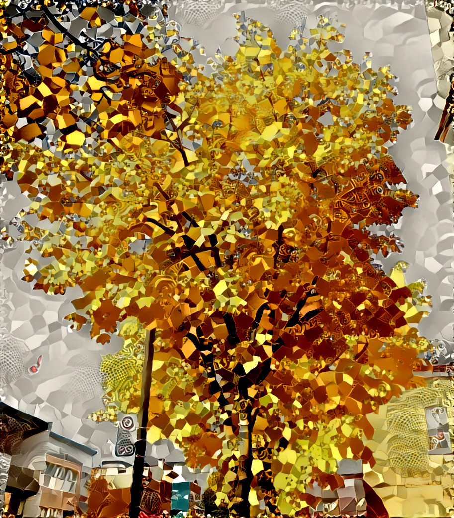 Urban Nature (Corner De l'Église and Evelyn, Verdun, Montréal)