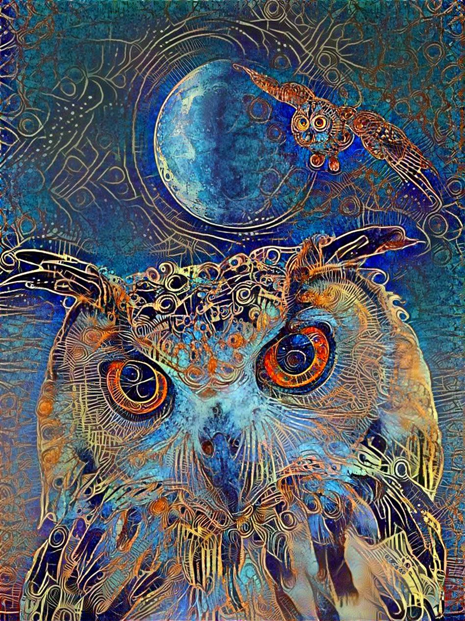 Night Owl